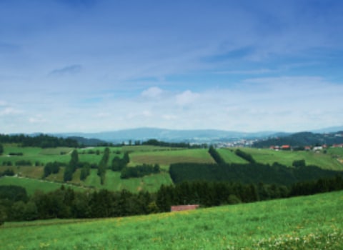 spitze-im-klimaschutzin-österreich